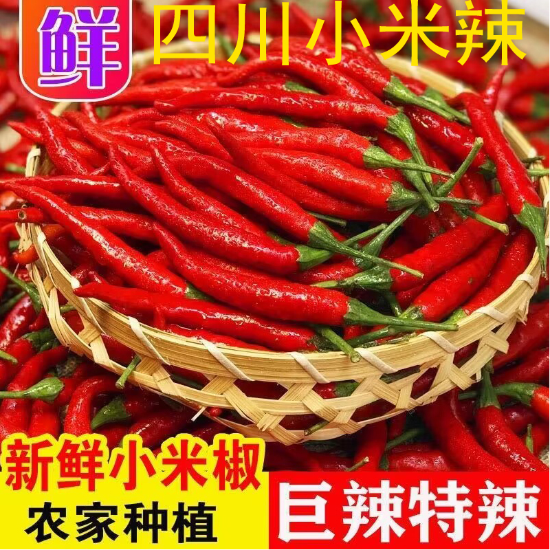 其他四川特辣小米椒产地直发