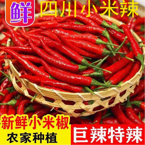 其他四川特辣小米椒产地直发