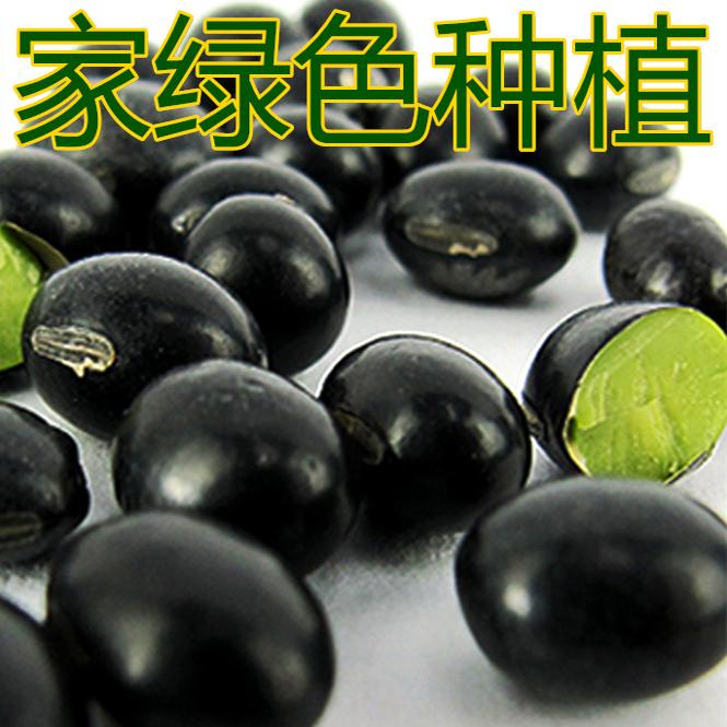 五谷杂粮大豆东北绿心黑豆豆浆豆特价5件包邮一件一斤今年新豆