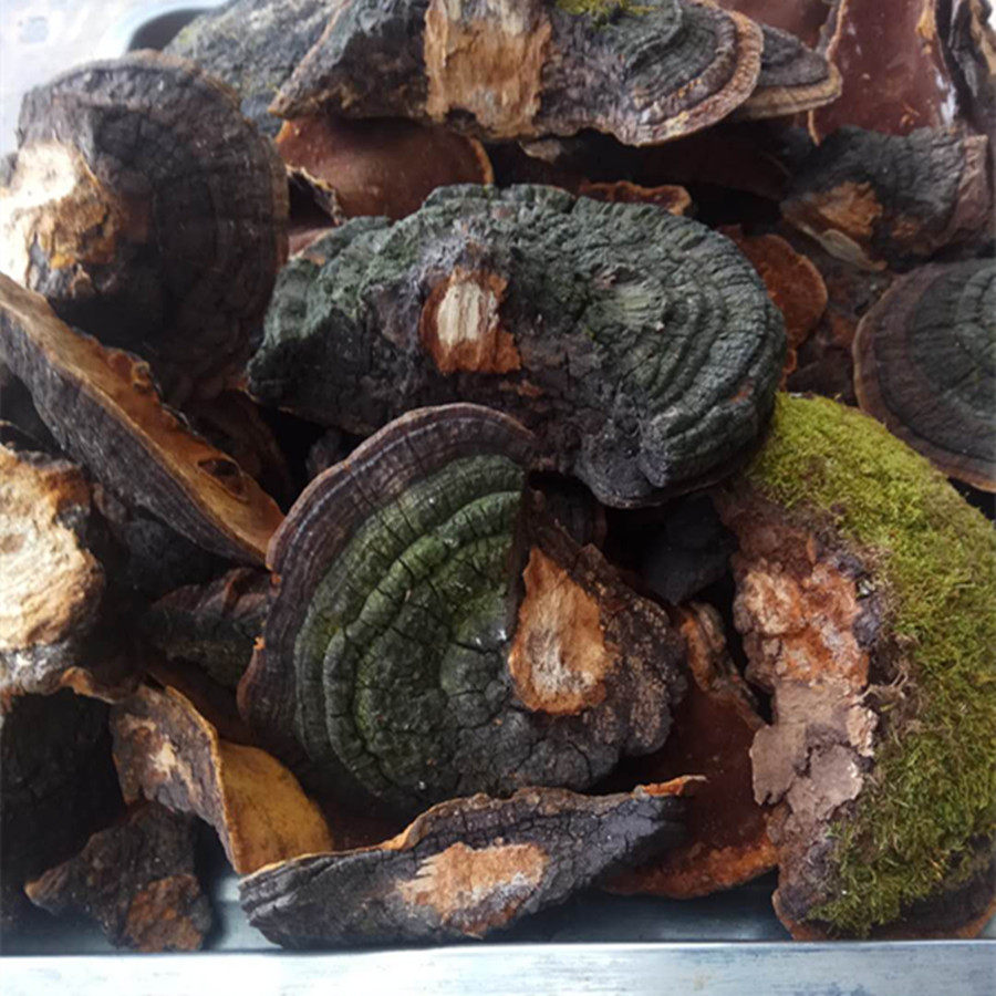 东北暴马丁香黄桑树黄野生丁香黄小子山产品 一件半斤包邮