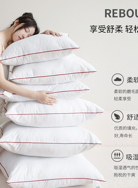 抱枕芯内胆沙发枕芯靠垫芯45x45抱枕心50x50靠背内芯靠枕头芯填充