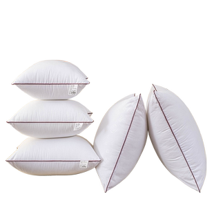 抱枕芯内胆内芯沙发靠枕靠垫芯45×45 50 60cm客厅长方形靠背定制