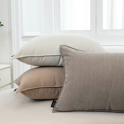 2025新款抱枕靠垫沙发客厅轻奢高级感抱枕套不含芯长方形靠枕靠背