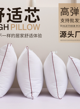 抱枕芯内胆沙发枕芯靠包靠垫芯45x45不塌陷50x50大靠背内芯靠枕芯