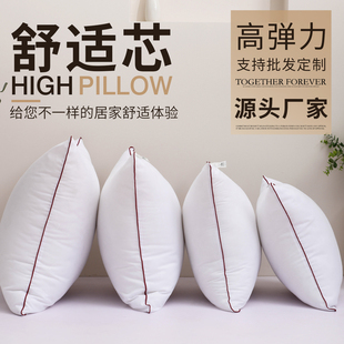 抱枕芯内胆沙发枕芯靠包靠垫芯45x45不塌陷50x50大靠背内芯靠枕芯