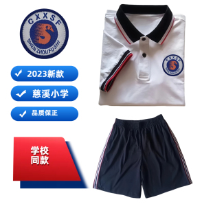慈溪小学生校服学校同款夏装纯棉短袖上衣观海卫镇海智小学校服
