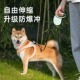 猫咪狗狗牵引绳自动可伸缩遛狗绳子防挣脱中小型犬泰迪柯基宠物用