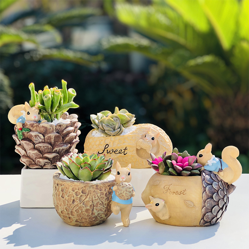 家居卡通坚果树脂毕业季多肉花盆