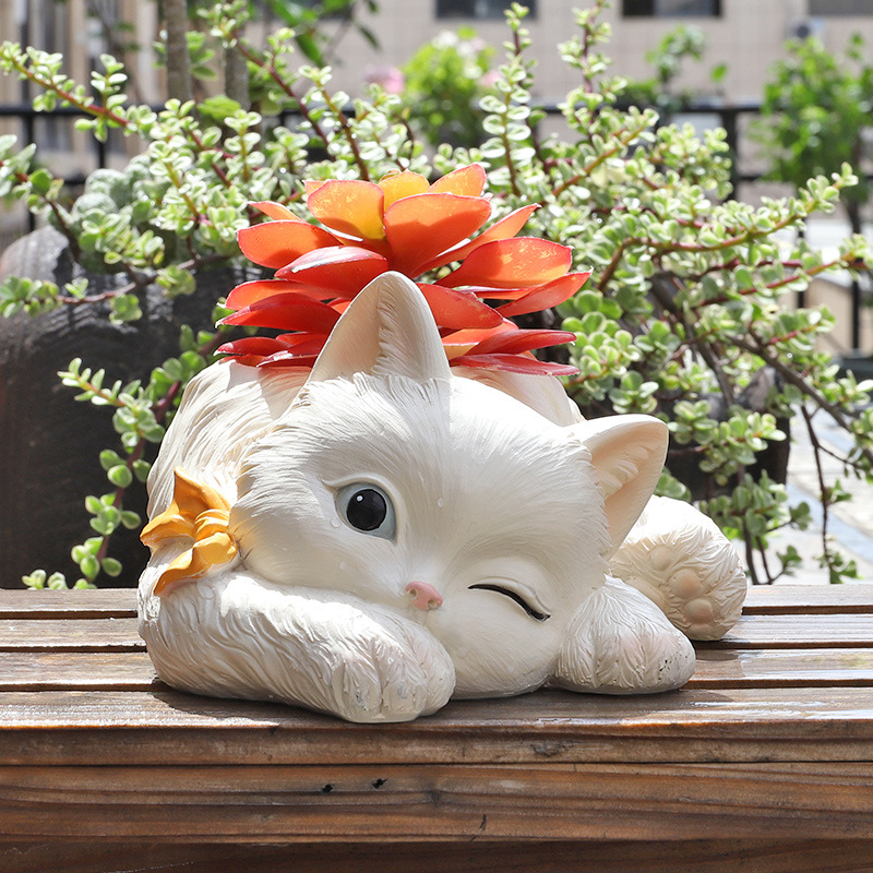 猫花盆价格 猫花盆图片 星期三 猫花盆价格 猫花盆图片 星期三