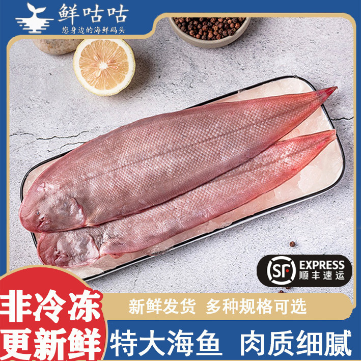 舌鳎鱼扁口新鲜非冷冻宁波舟山