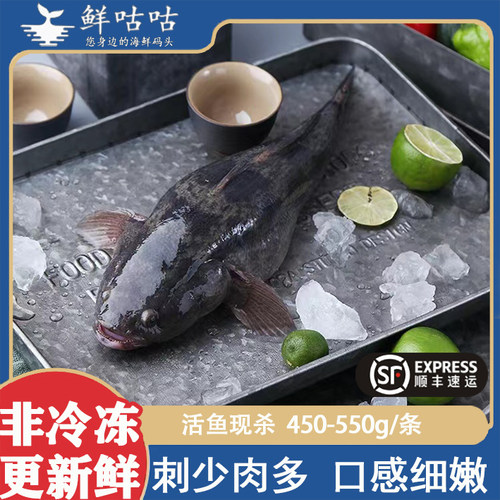 笋壳鱼整条新鲜鲜活宰杀海鲜水产