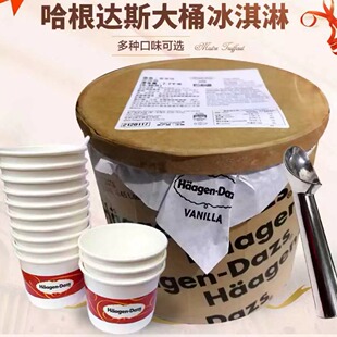 原装进口哈根达斯冰淇淋大桶装7.4kg商用挖球香草巧克力顺丰包邮