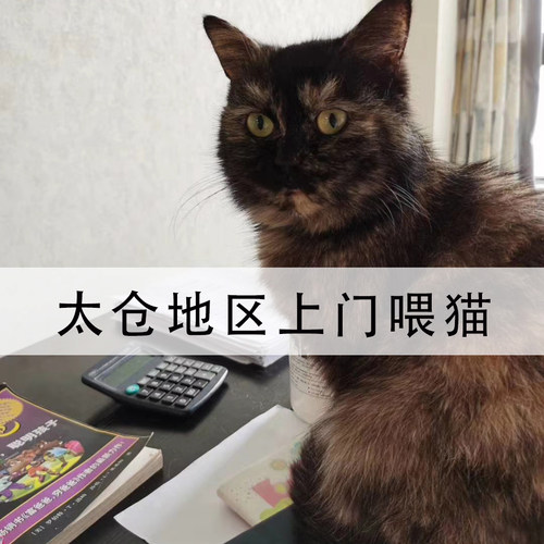 春节太仓上门喂猫服务宠物上门喂养铲屎节假日猫咪代喂寄养喂狗