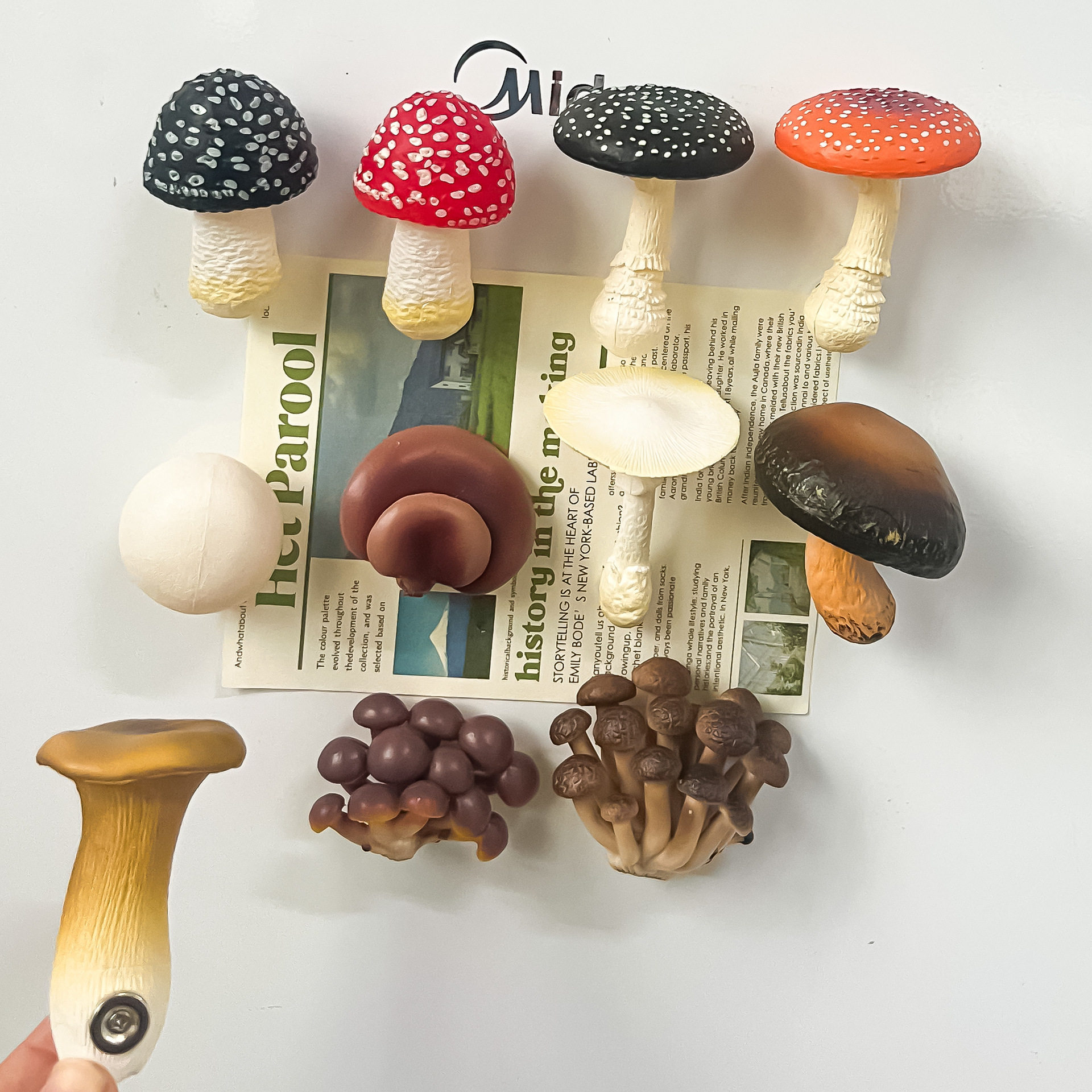 冰箱贴2026新款云南蘑菇菌子菌菇磁吸冰箱贴diy立体家居装饰磁贴