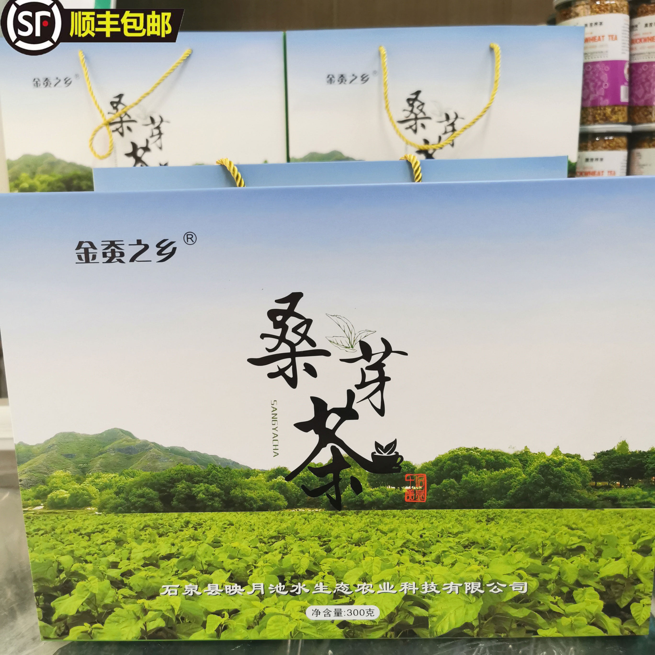 桑芽茶2024年新茶高档茶礼盒装