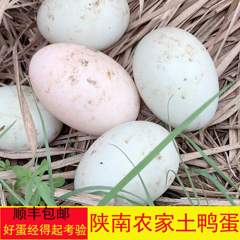 正宗土鸭蛋陕南安康石泉农家散养
