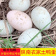 正宗土鸭蛋陕南安康石泉农家散养秦岭小溪无饲料紫阳岚皋特产健康