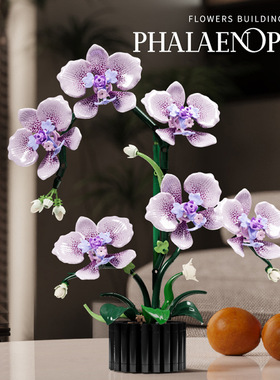 美及13115蝴蝶兰花双色花瓣拼装益智积木花摆件女生礼物玩具