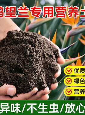 鹤望兰专用土料盆栽植物营养土变绿长高展叶子长个天堂鸟绿植家用