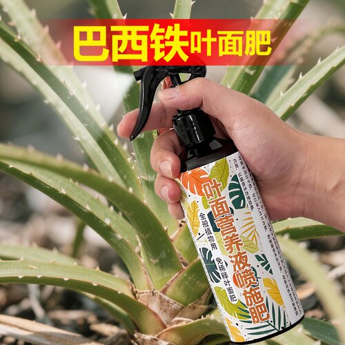巴西铁专用肥料绿植盆栽营养液氮磷钾尖卷曲发黄干枯锈斑叶面肥料