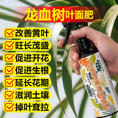 龙血树专用肥料绿植盆栽树苗土壤复合营养液叶面肥缓释肥有机肥料