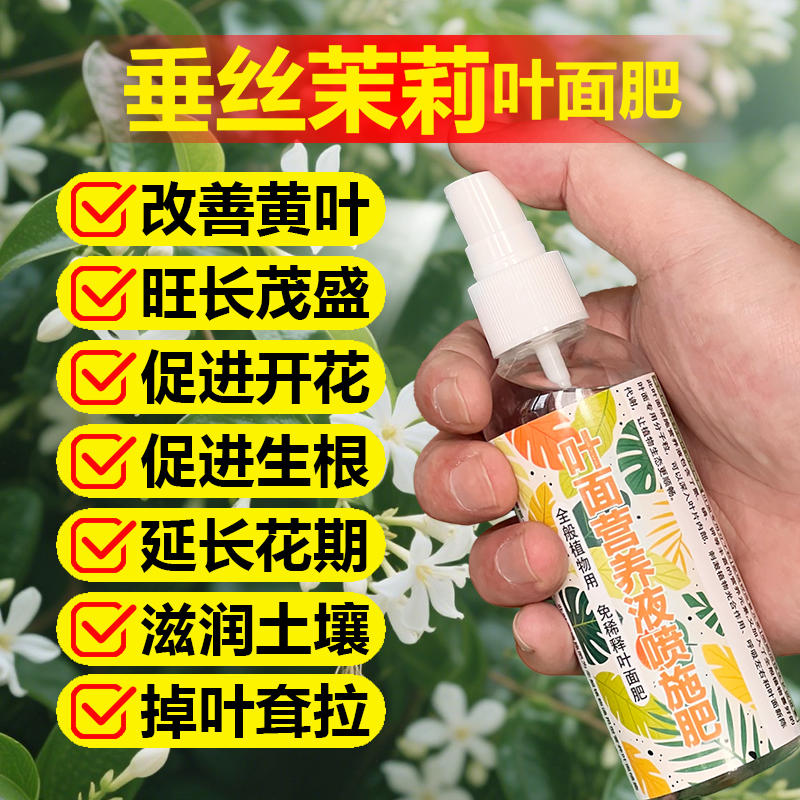 垂丝茉莉专用肥料营养液发黄尖发黑枯萎软塌塌发蔫软下垂叶面肥料