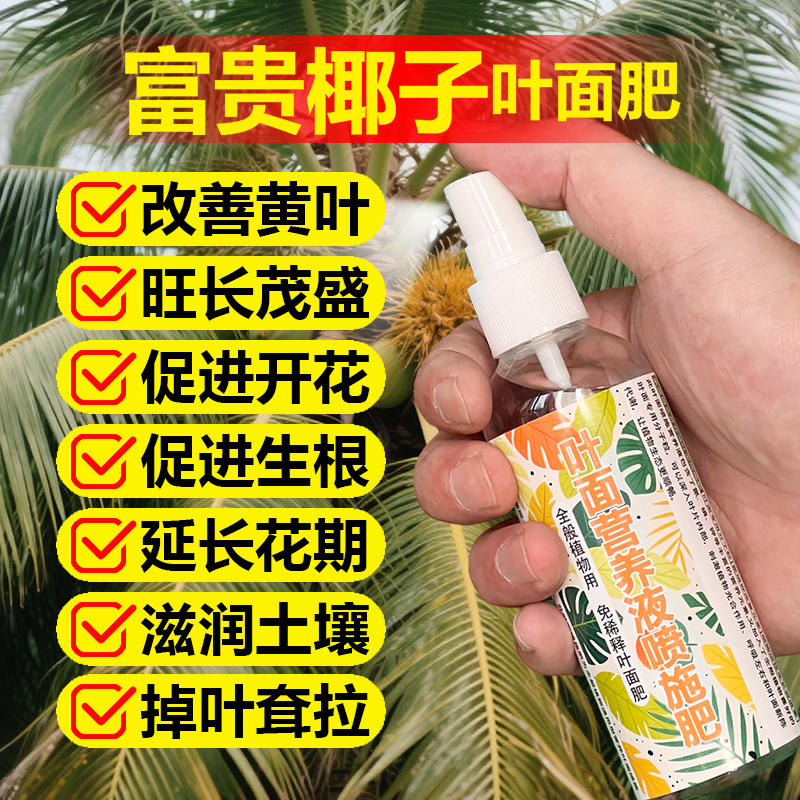 富贵椰子专用肥料花盆栽袖珍椰子凤尾竹散尾葵专用土营养液叶面肥
