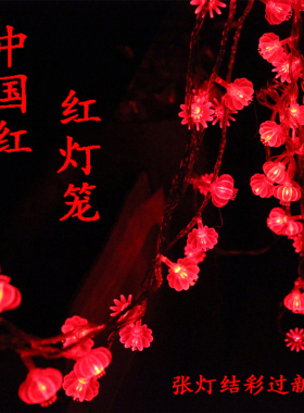 彩灯灯串灯笼过新年春节气氛节日喜庆挂灯户外防水LED闪灯装饰灯