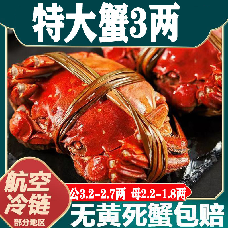 兴化大闸蟹鲜活螃蟹全公母蟹缺腿大闸蟹