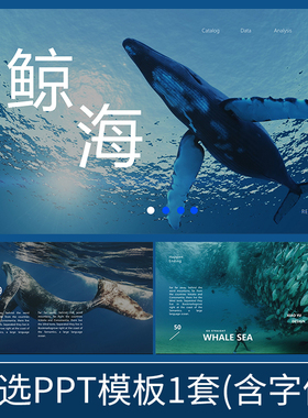 H109鲸海蓝色艺术海洋生物大海环保生态绿色环境保护环保ppt模板