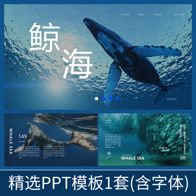 H109鲸海蓝色艺术海洋生物大海环保生态绿色环境保护环保ppt模板