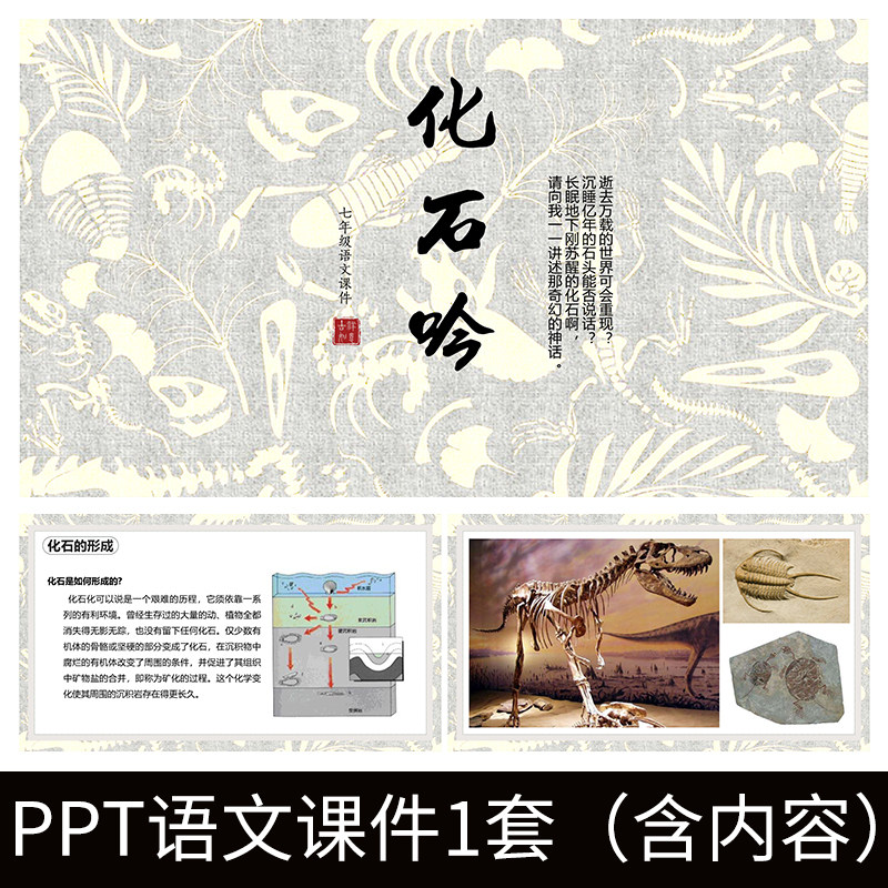 e9化石吟张锋导读教师教案学习公开课文赏析语文教学课件ppt模板