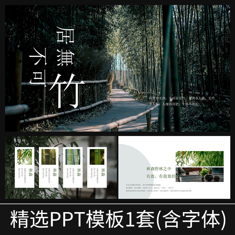 h124古风竹林中国风古典竹子绿色环保生态森林岁寒三友ppt模板