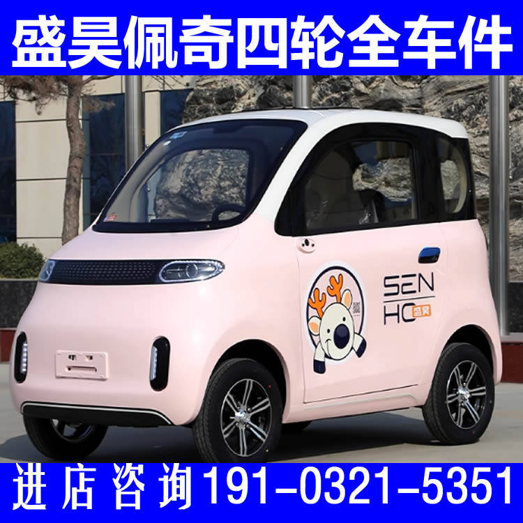 盛昊佩奇后背门玻璃扶手箱门把手雨刮臂转向灯电动车配件加速踏板