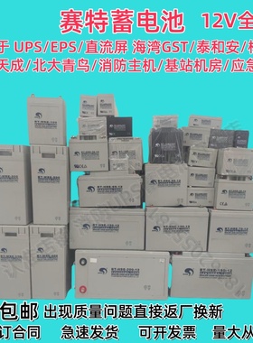 海湾泰和安北大青鸟消防主机12V24AH/38AH/65AH17AHUPS后备蓄电池