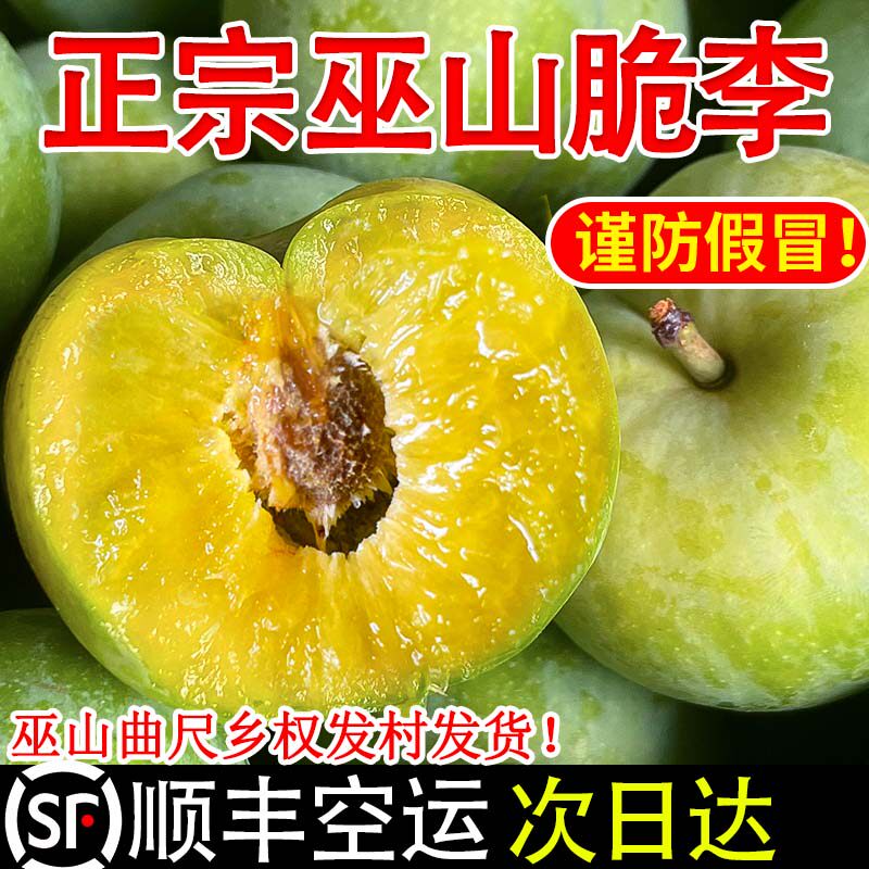顺丰空运巫山脆李正宗重庆巫山曲尺青脆李脱骨大李子孕妇新鲜水果