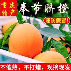 重庆奉节脐橙纽荷尔现摘发孕妇水果应季橙子新鲜包邮产地奉节索图