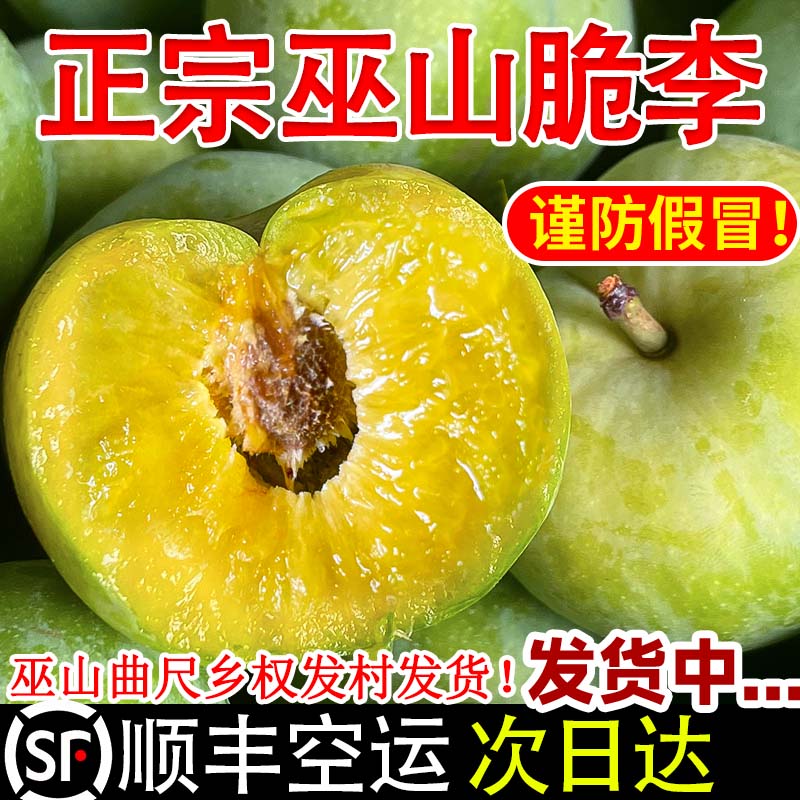 顺丰空运巫山脆李正宗重庆巫山曲尺青脆李脱骨大李子孕妇新鲜水果