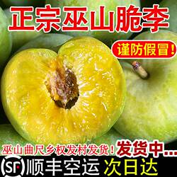 顺丰空运巫山脆李正宗重庆巫山曲尺青脆李脱骨大李子孕妇新鲜水果