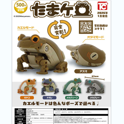 限购五件2月预定ToysCabin变