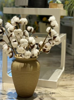 新疆棉花干花纯天然真花卧室客厅玄关装饰ins摆件超饱满