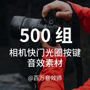 尼康索尼佳能富士微单单反相机快门光圈闪光按钮拍照对焦的声音