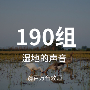 湿地的声音湿地公园湿地保护区特有的各种水禽鸟类动物昆虫的叫声