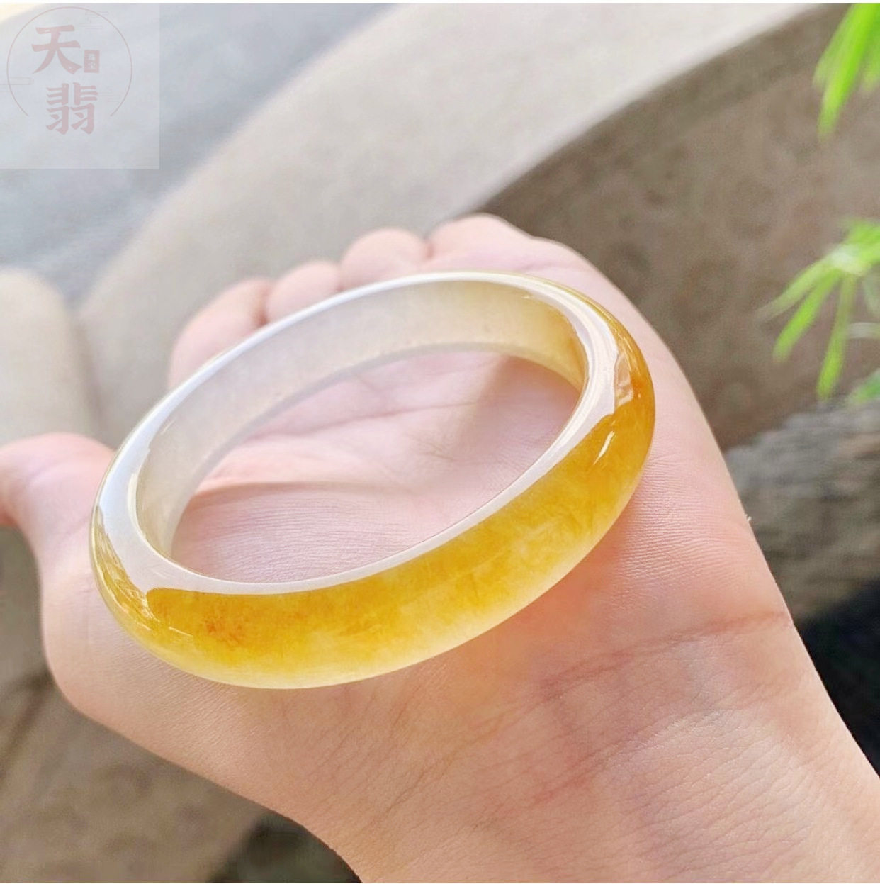 翡翠手镯天然黄翡翠玉镯子玉石冰种平安贵妃镯老坑翡翠鸡油黄送礼