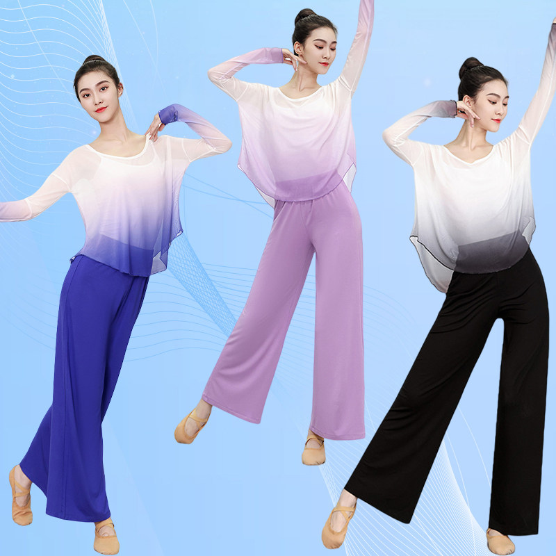 渐变古典舞服装女飘逸上衣练功服中国风现代舞宽松网纱长袖套装