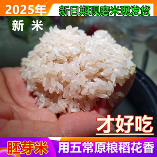 五常胚芽米原粮稻花香2号东北五谷杂粮留胚新米现磨真空1斤×10包