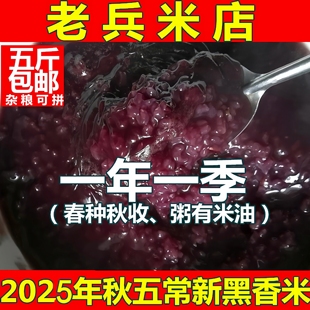 老兵米店2025新东北黑龙江五常大米黑香米500g真空熬粥真空小包装