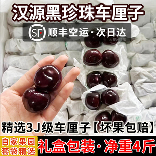 顺丰空运【现摘】四川汉源黑珍珠车厘子国产大樱桃车厘子新鲜包邮