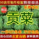 带箱7斤 包邮 精选无叶贡菜新鲜苔干苔菜农家干货土特产脱水蔬菜
