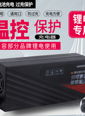 星龙明充电器锂电池充电器电池快速充电充电器48V2A60V36V72V3A